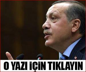Erdoğan'ı kızdıran bakan!