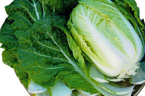 Dişlere Çinli dost