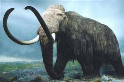 Mamut klonlayacaklar!
