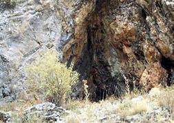PKK sığınağına baskın
