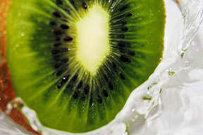 Kivi grip düşmanı