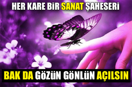 Her kare ayrı bir sanat şaheseri!