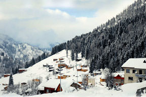 Yayla'n İsrail