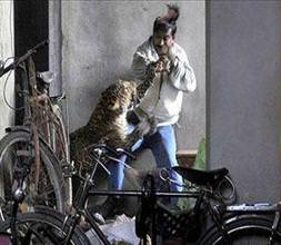 Adamın kafa derisini yüzdü