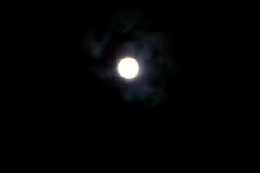 3 bin kişi ayda arsa satın aldı