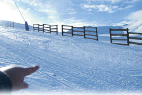 Ölümün perde arkası