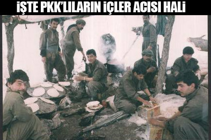 PKK'nın acınacak hali...
