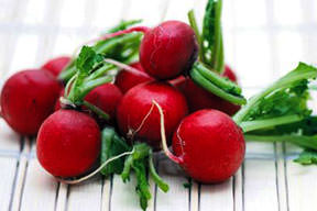 Kırmızı turp kanser düşmanı