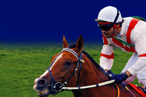 Veliefendi’de beni delirttiler