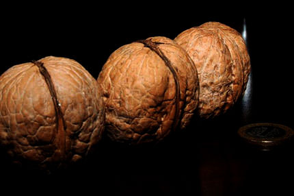 Gribin düşmanı ceviz