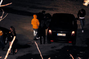 1 Aslan 1 Miyav dedi