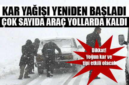 Kar yeniden başladı