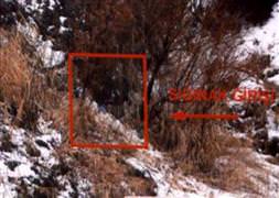 Siirt'te 100 kilo patlayıcı ele geçirildi