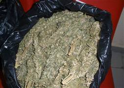 Otoparkta 42 kilo esrar ele geçirildi