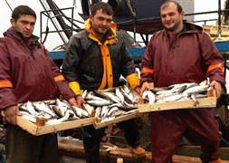 Yakaladıkları 25 ton balık, tekneye sığmadı