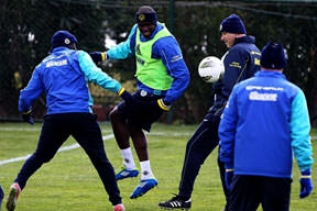 Kanarya moral arıyor!