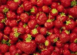 Mamak Çöplüğü çilek kokuyor