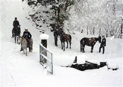 Giresun'da 172 köy yolu ulaşıma kapalı