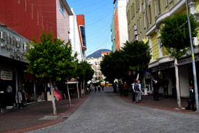 Ağaçlar hırsızlara merdiven oluyor