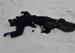 Van'da 2 erkek cesedi bulundu