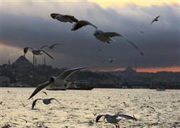 Haftasonu hava nasıl olacak?