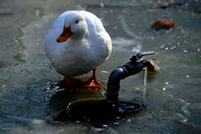 Hava yine soğuyacak