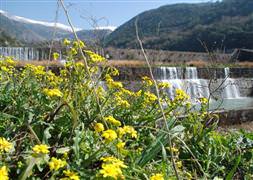 Yeni hafta baharla geliyor!