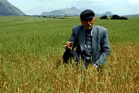 Çiftçiye iyi haber geldi