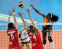 Aslan kupaya yakın