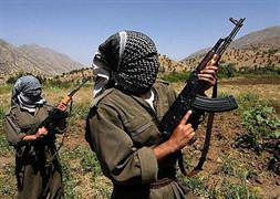 PKK'daki 222 Suriyeli