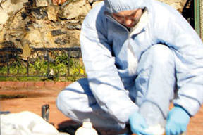 Dolmabahçe'de sabah paniği