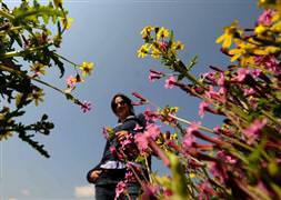 Hava sıcaklıkları artıyor!