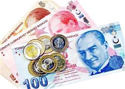 Geri dönene 2 bin 600 avro maaş