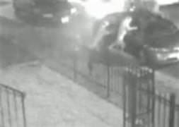 Sokak ortasında köpek dehşeti