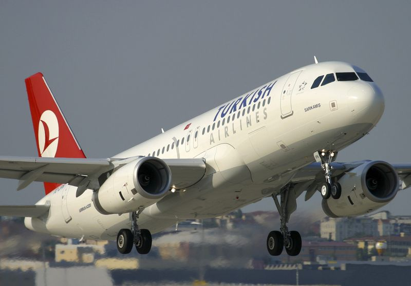 Minik yolcu ağaç kazandı