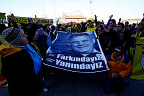 Bu çınarı yakmayın