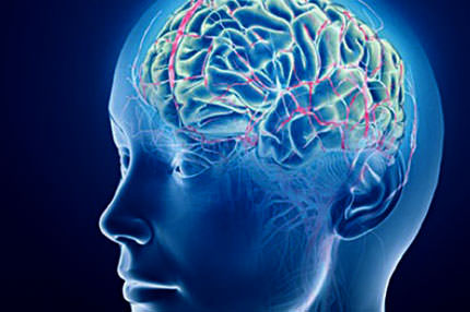 İkinci dil beyni güçlendiriyor