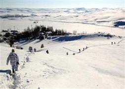 Tunceli'de çatışma: 3 şehit