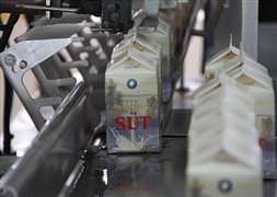 TÜİK: Süt içme oranı arttı