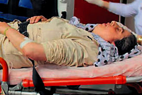 Sokak köpeği dehşet saçtı!