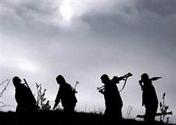 Bitlis'te çatışma: 4 terörist öldürüldü