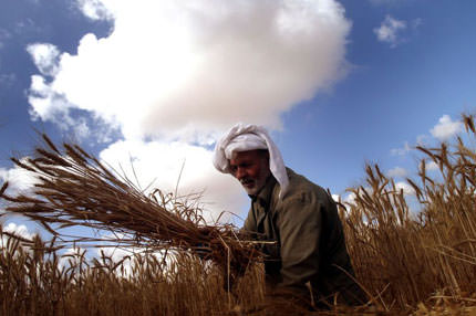 İsrail askerleri çıldırdı