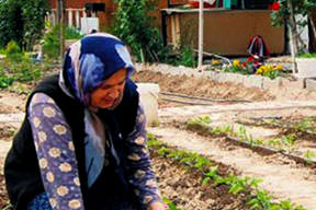 Tarım fuarı için Bursa'da geri sayım başladı