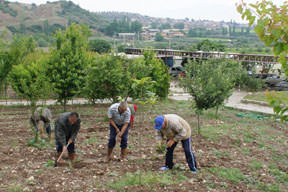 Ruhsal tarım