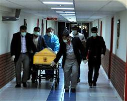 Kene bir can daha aldı