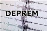 Muğla'da 4,6 şiddetinde deprem