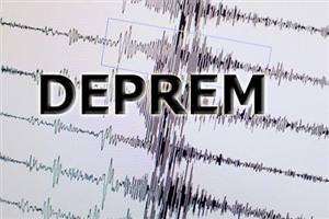 Muğla'da 4,6 şiddetinde deprem