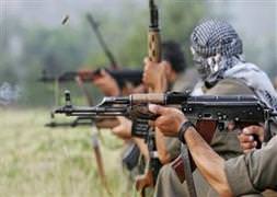 Teröristleri salgın hastalık vurdu