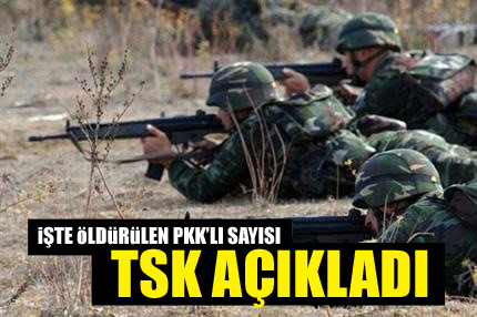 TSK öldürülen terörist sayısını açıkladı