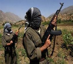 Bitlis'te hain saldırı